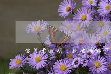 信用卡逾期还款被冻结诈骗 信用卡逾期还款被冻结诈骗