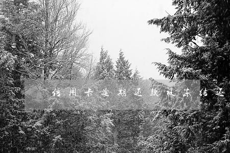 信用卡逾期还款被冻结还能否解冻 信用卡逾期还款被冻结还能否解冻