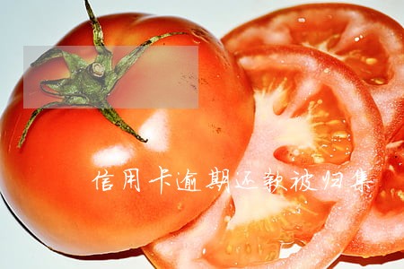 信用卡逾期还款被归集 信用卡逾期还款被归集