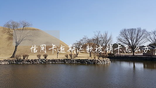 信用卡逾期还款被销卡怎么办 信用卡逾期还款被销卡怎么办