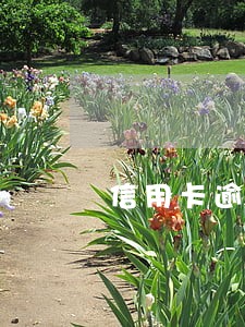 信用卡逾期还款要利息吗 信用卡逾期还款要利息吗