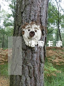 信用卡逾期还款要收费吗