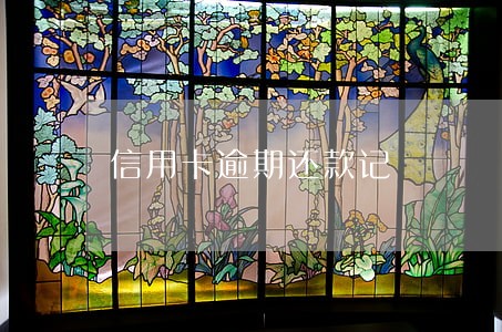 信用卡逾期还款记 信用卡逾期还款记