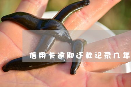 信用卡逾期还款记录几年消