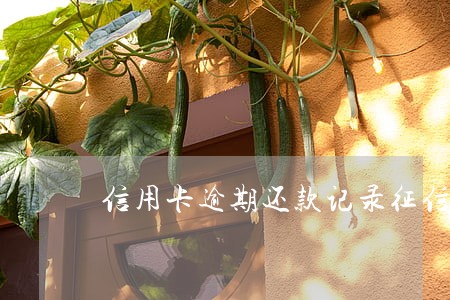 信用卡逾期还款记录征信吗 信用卡逾期还款记录征信吗