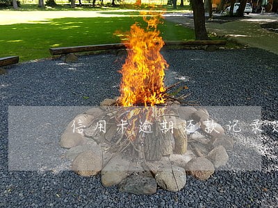 信用卡逾期还款记录还能办吗 信用卡逾期还款记录还能办吗
