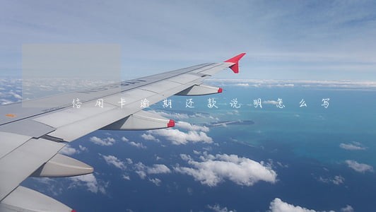 信用卡逾期还款说明怎么写
