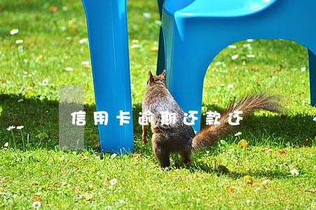 信用卡逾期还款还