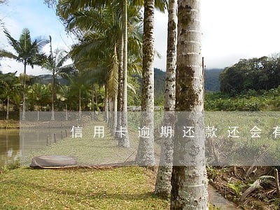 信用卡逾期还款还会有额度吗 信用卡逾期还款还会有额度吗
