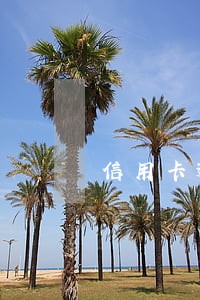 信用卡逾期还款还可以吗 信用卡逾期还款还可以吗