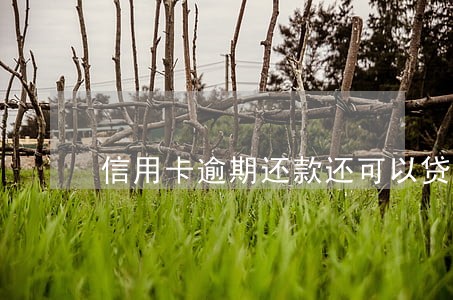 信用卡逾期还款还可以贷款吗