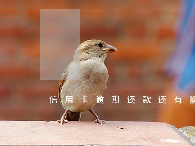 信用卡逾期还款还有额度么 信用卡逾期还款还有额度么