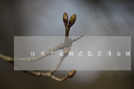 信用卡逾期还款还清会被锁吗 信用卡逾期还款还清会被锁吗