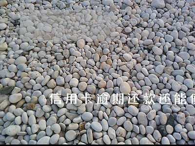 信用卡逾期还款还能使用吗 信用卡逾期还款还能使用吗