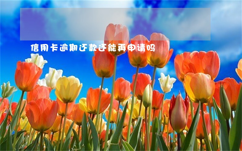 信用卡逾期还款还能再申请吗