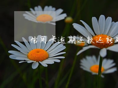 信用卡逾期还款还能刷卡吗