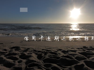 信用卡逾期还款还能取钱吗 信用卡逾期还款还能取钱吗