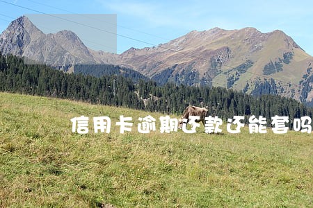 信用卡逾期还款还能套吗 信用卡逾期还款还能套吗