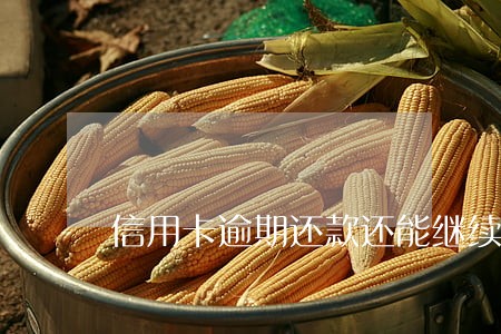 信用卡逾期还款还能继续使用吗