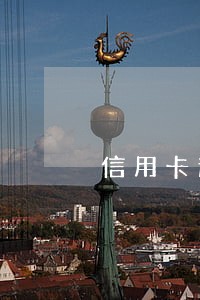 信用卡逾期还款进入哪了