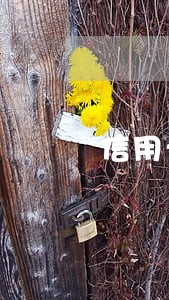 信用卡逾期还款进去还能刷出来吗 信用卡逾期还款进去还能刷出来吗