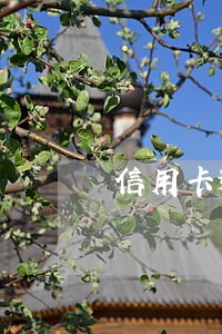 信用卡逾期还款进去还能用吗 信用卡逾期还款进去还能用吗