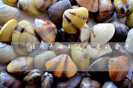 信用卡逾期还款违约金滞纳金 信用卡逾期还款违约金滞纳金