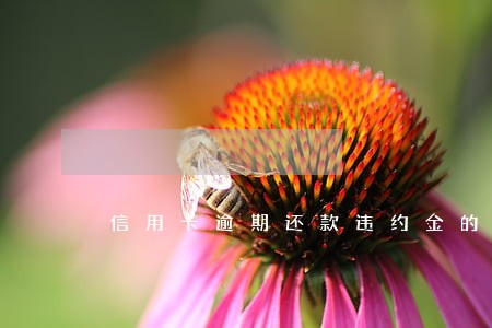 信用卡逾期还款违约金的算法 信用卡逾期还款违约金的算法