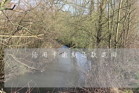 信用卡逾期还款退回 信用卡逾期还款退回