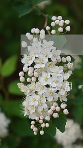信用卡逾期还款退回来 信用卡逾期还款退回来
