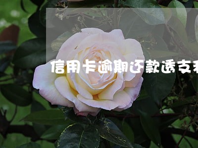 信用卡逾期还款透支利息 信用卡逾期还款透支利息