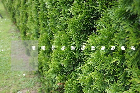 信用卡逾期还款通道会关闭 信用卡逾期还款通道会关闭