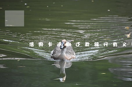 信用卡逾期还款银行有义务通知吗 信用卡逾期还款银行有义务通知吗