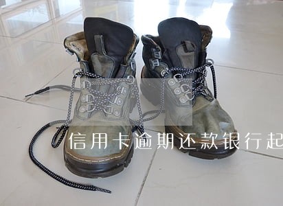 信用卡逾期还款银行起诉状 信用卡逾期还款银行起诉状