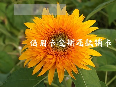 信用卡逾期还款销卡了怎么办 信用卡逾期还款销卡了怎么办