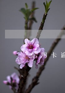 信用卡逾期还款降额怎么解决 信用卡逾期还款降额怎么解决