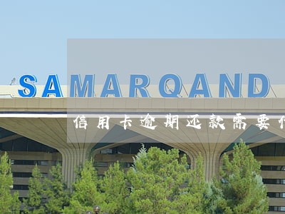 信用卡逾期还款需要代码 信用卡逾期还款需要代码