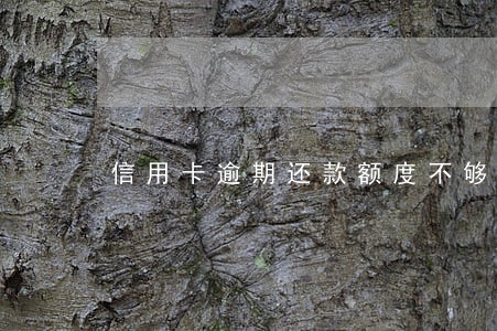 信用卡逾期还款额度不够