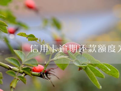 信用卡逾期还款额度为0 信用卡逾期还款额度为0