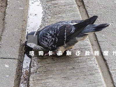 信用卡逾期还款额度什么时候恢复