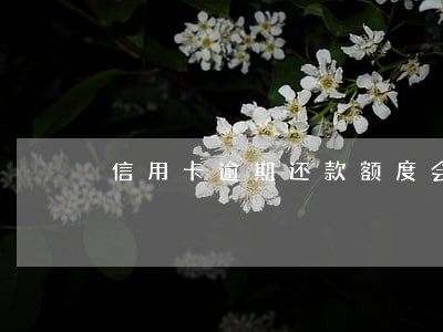 信用卡逾期还款额度会下降 信用卡逾期还款额度会下降
