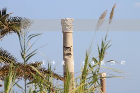 信用卡逾期还死能贷款 信用卡逾期还死能贷款