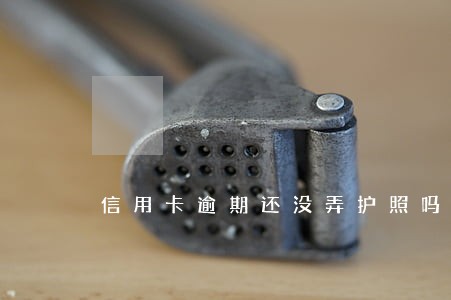 信用卡逾期还没弄护照吗