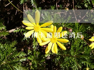 信用卡逾期还消后 信用卡逾期还消后