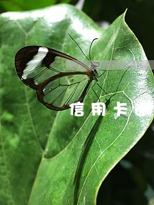 信用卡逾期还清3年了 信用卡逾期还清3年了