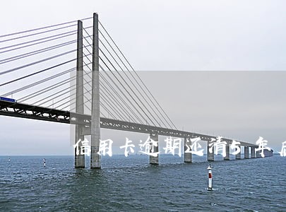 信用卡逾期还清5年后还能申请么 信用卡逾期还清5年后还能申请么