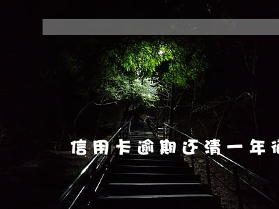 信用卡逾期还清一年征信报告 信用卡逾期还清一年征信报告