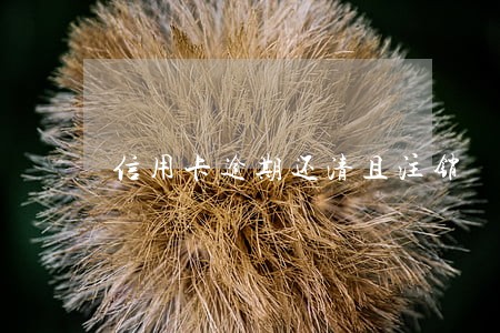 信用卡逾期还清且注销 信用卡逾期还清且注销