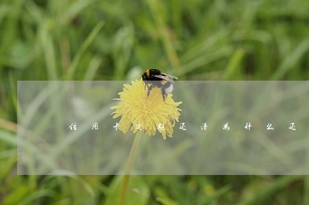 信用卡逾期还清为什么还显示呆账 信用卡逾期还清为什么还显示呆账