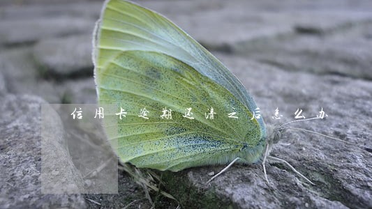 信用卡逾期还清之后怎么办